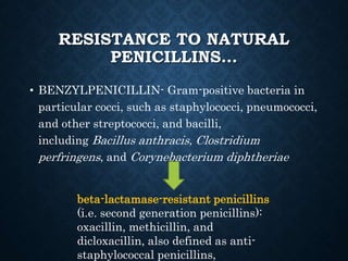 RESISTANCE TO NATURAL
PENICILLINS…
• BENZYLPENICILLIN- Gram-positive bacteria in
particular cocci, such as staphylococci, pneumococci,
and other streptococci, and bacilli,
including Bacillus anthracis, Clostridium
perfringens, and Corynebacterium diphtheriae
beta-lactamase-resistant penicillins
(i.e. second generation penicillins):
oxacillin, methicillin, and
dicloxacillin, also defined as anti-
staphylococcal penicillins,
 