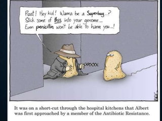 Drug development process