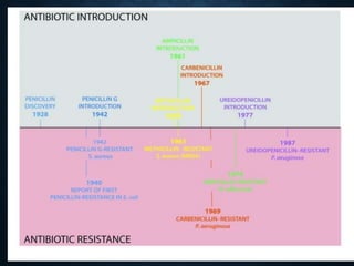 Drug development process