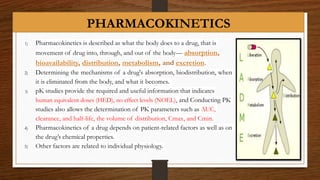 Drug Development Process | PPTX