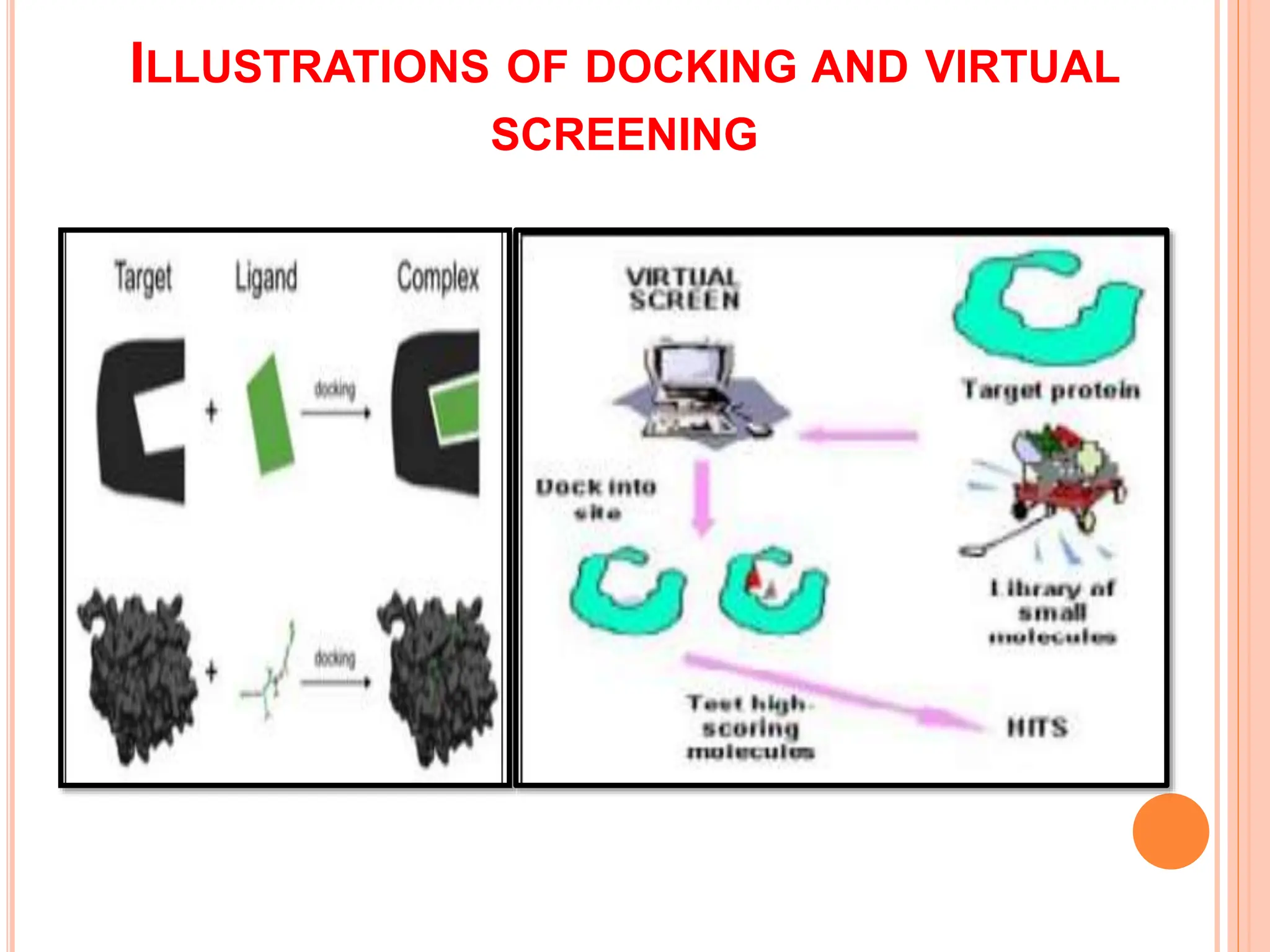 ILLUSTRATIONS OF DOCKING AND VIRTUAL
SCREENING
 