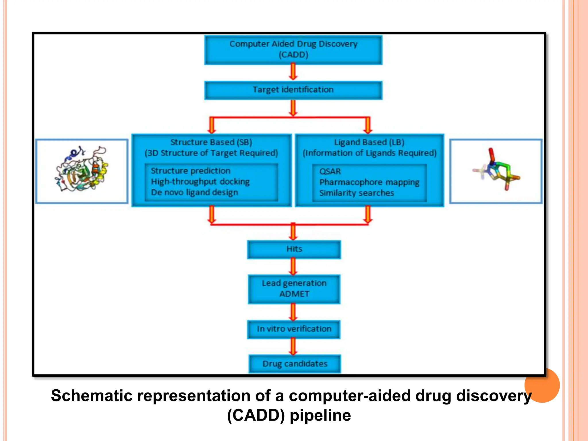 Schematic representation of a computer-aided drug discovery
(CADD) pipeline
 