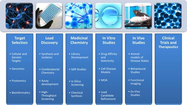 Drug discovery and development | PPTX