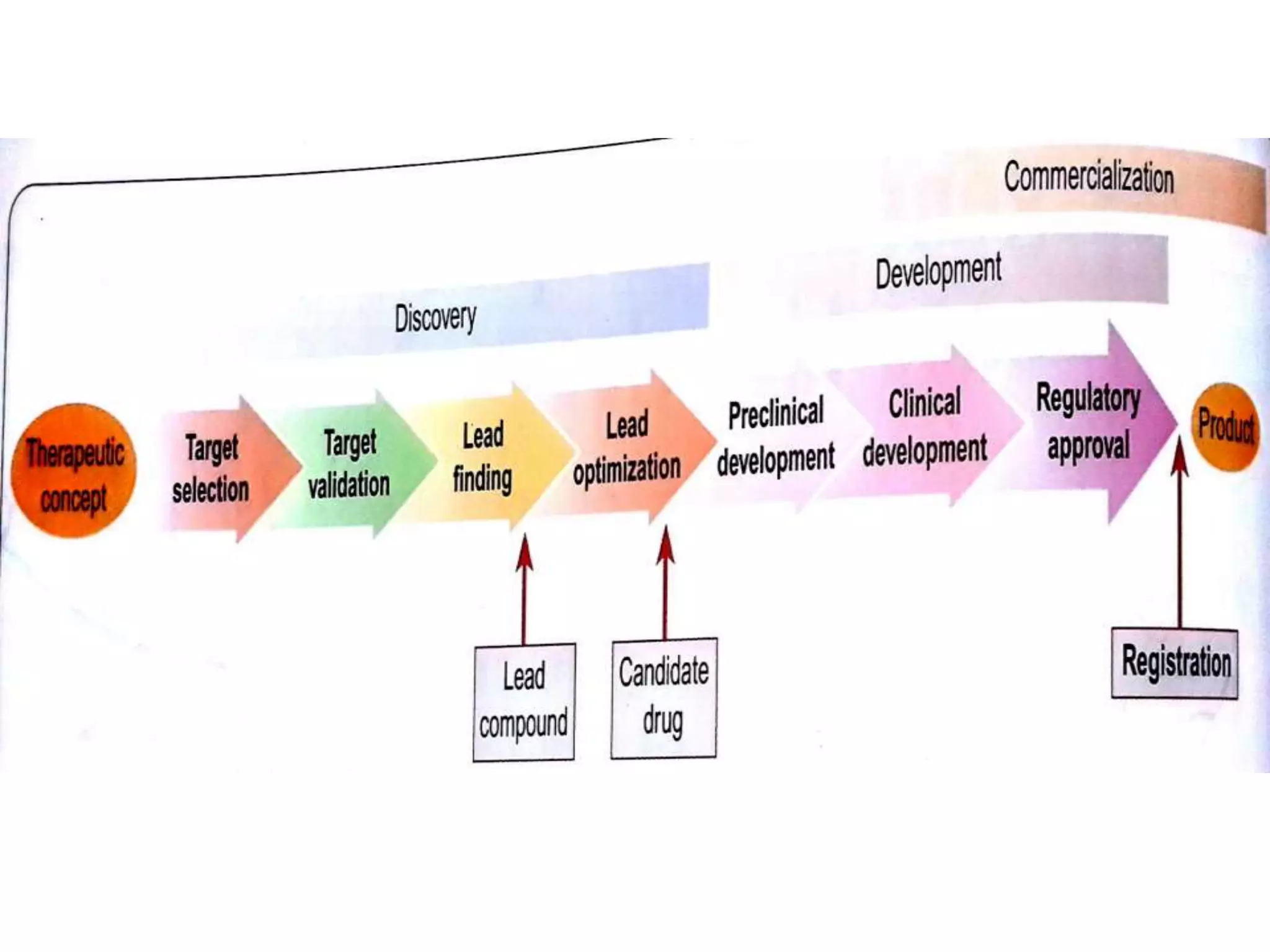 Drug discovery and development | PPTX