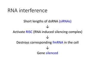 RNA interference
Short lengths of dsRNA (siRNAs)
↓
Activate RISC (RNA induced silencing complex)
↓
Destroys corresponding fmRNA in the cell
↓
Gene silenced
 