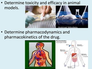 Drug Development Animals Drug discovery and development | PPTX