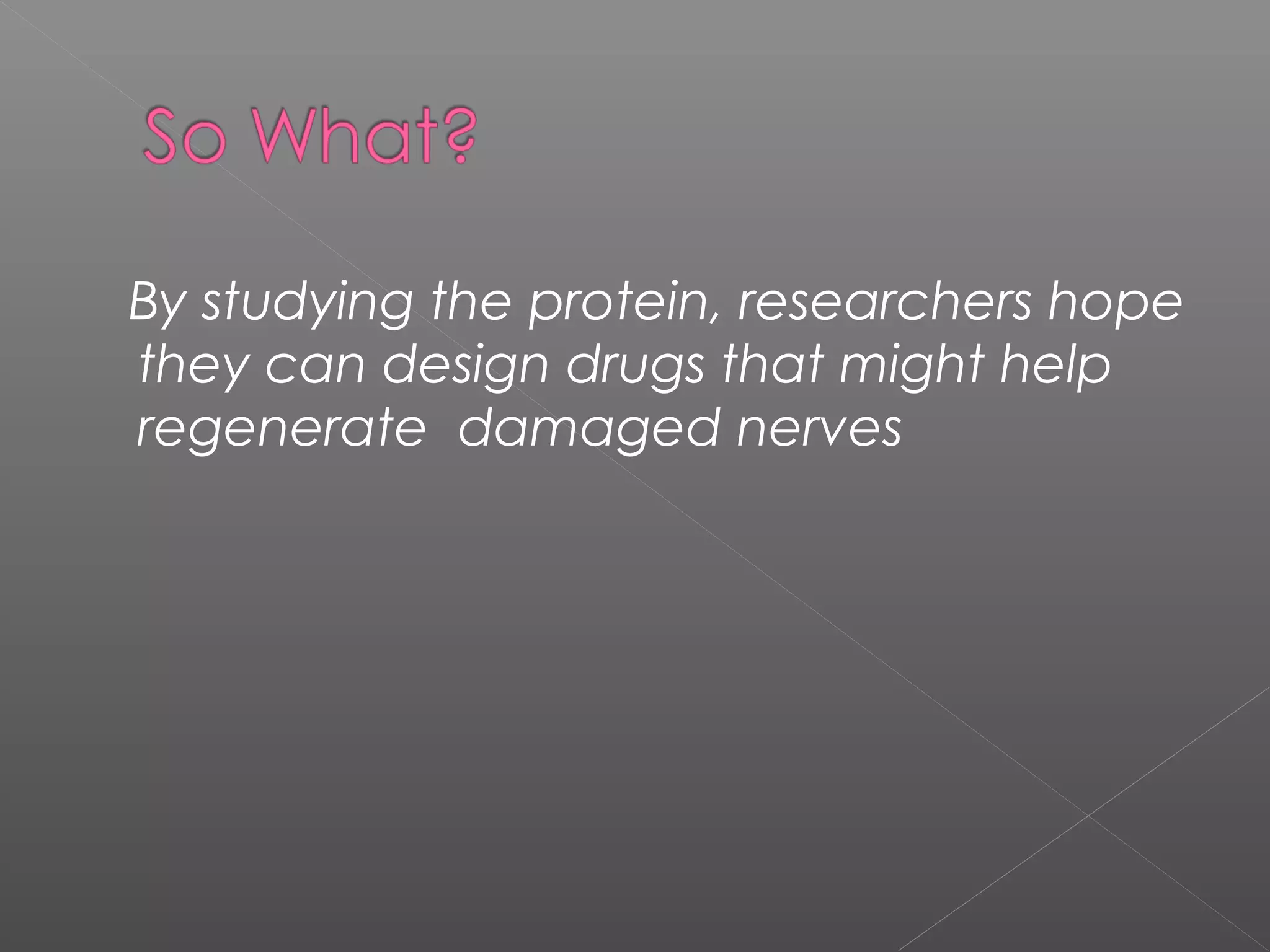 By studying the protein, researchers hope
they can design drugs that might help
regenerate damaged nerves
 