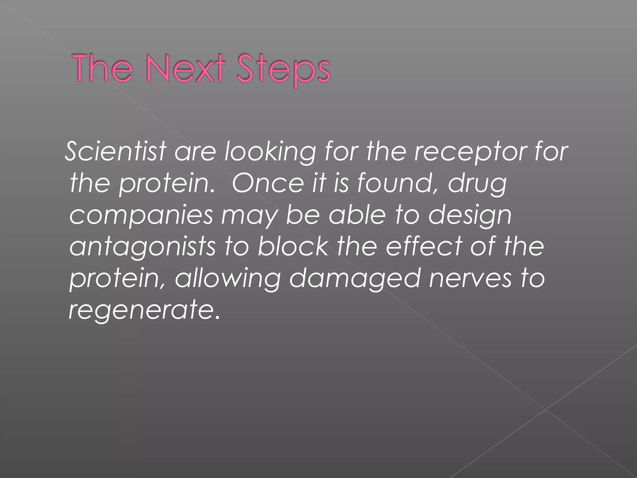 Scientist are looking for the receptor for
the protein. Once it is found, drug
companies may be able to design
antagonists to block the effect of the
protein, allowing damaged nerves to
regenerate.
 