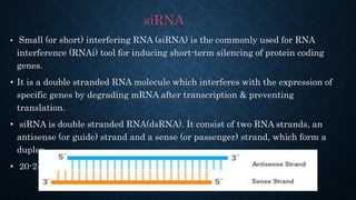 Short Dsrna Drug discovery overview by shubham 1 | PPTX