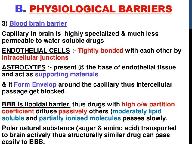 What Does Water Do On Different Natural Materials What Does Water Do On Different Natural Materials