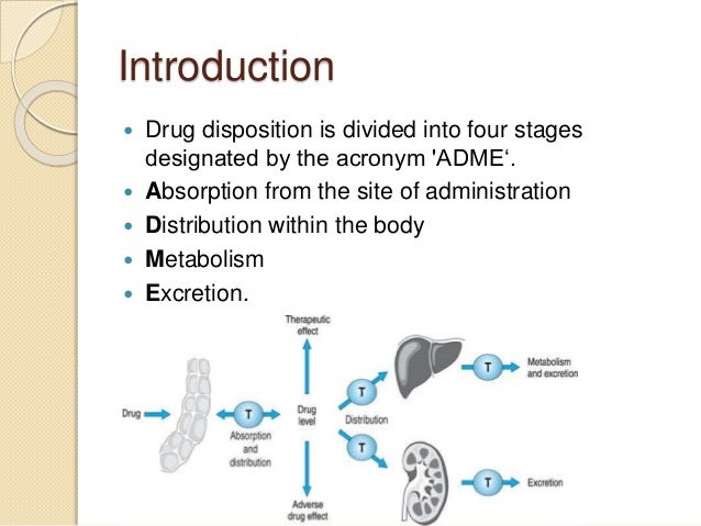 drug-disposition-new-chemical-modalities-and-strategic-thinking-in