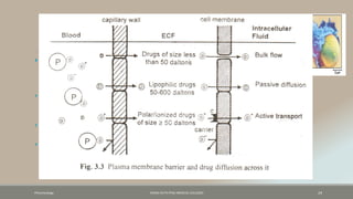 Tissue permeability of drug
 Physicochemical property:
I) Molecular Size;
 Mol wt less then 500 to 600 Dalton easily pass capillary membrane to extra
cellular fluid.
 From extra cellular fluid to cross cell membrane through aqueous filled
channels need particle size less then 50 Dalton with hydrophilic property .
 Larger size were restricted unless specialized transport system is exists
Pharamcology FAZAIA RUTH PFAU MEDICAL COLLEGES 24
 