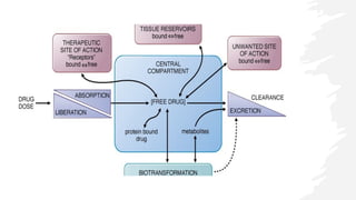 Comprehensive Overview of Drug Distribution in Pharmacology | PPTX