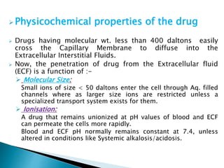 Physicochemical properties of the drug 
 Drugs having molecular wt. less than 400 daltons easily 
cross the Capillary Membrane to diffuse into the 
Extracellular Interstitial Fluids. 
 Now, the penetration of drug from the Extracellular fluid 
(ECF) is a function of :- 
 Molecular Size: 
Small ions of size < 50 daltons enter the cell through Aq. filled 
channels where as larger size ions are restricted unless a 
specialized transport system exists for them. 
 Ionisation: 
A drug that remains unionized at pH values of blood and ECF 
can permeate the cells more rapidly. 
Blood and ECF pH normally remains constant at 7.4, unless 
altered in conditions like Systemic alkalosis/acidosis. 
 