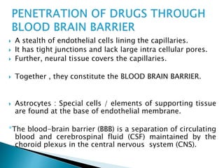  A stealth of endothelial cells lining the capillaries. 
 It has tight junctions and lack large intra cellular pores. 
 Further, neural tissue covers the capillaries. 
 Together , they constitute the BLOOD BRAIN BARRIER. 
 Astrocytes : Special cells / elements of supporting tissue 
are found at the base of endothelial membrane. 
*The blood-brain barrier (BBB) is a separation of circulating 
blood and cerebrospinal fluid (CSF) maintained by the 
choroid plexus in the central nervous system (CNS). 
 