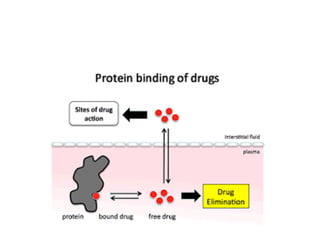 Distribution of Drugs – Plasma Protein Binding and Blood-Brain Barrier ...