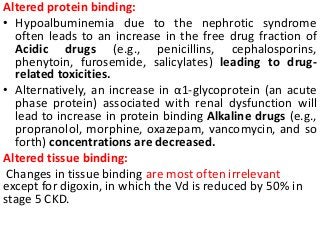 Altered protein binding:
• Hypoalbuminemia due to the nephrotic syndrome
often leads to an increase in the free drug fraction of
Acidic drugs (e.g., penicillins, cephalosporins,
phenytoin, furosemide, salicylates) leading to drug-
related toxicities.
• Alternatively, an increase in α1-glycoprotein (an acute
phase protein) associated with renal dysfunction will
lead to increase in protein binding Alkaline drugs (e.g.,
propranolol, morphine, oxazepam, vancomycin, and so
forth) concentrations are decreased.
Altered tissue binding:
Changes in tissue binding are most often irrelevant
except for digoxin, in which the Vd is reduced by 50% in
stage 5 CKD.
 