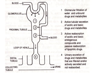 Drug Dosing in Renal Failure.pdf