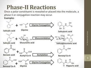 Drug Elimination detail explanation .pdf