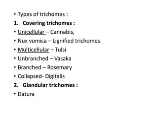 • Types of trichomes :
1. Covering trichomes :
• Unicellular – Cannabis,
• Nux vomica – Lignified trichomes
• Multicellular – Tulsi
• Unbranched – Vasaka
• Branched – Rosemary
• Collapsed- Digitalis
2. Glandular trichomes :
• Datura
 