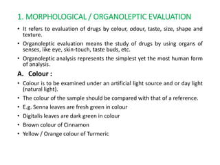 1. MORPHOLOGICAL / ORGANOLEPTIC EVALUATION
• It refers to evaluation of drugs by colour, odour, taste, size, shape and
texture.
• Organoleptic evaluation means the study of drugs by using organs of
senses, like eye, skin-touch, taste buds, etc.
• Organoleptic analysis represents the simplest yet the most human form
of analysis.
A. Colour :
• Colour is to be examined under an artificial light source and or day light
(natural light).
• The colour of the sample should be compared with that of a reference.
• E.g. Senna leaves are fresh green in colour
• Digitalis leaves are dark green in colour
• Brown colour of Cinnamon
• Yellow / Orange colour of Turmeric
 