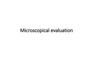 Microscopical evaluation
 
