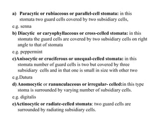 a) Paracytic or rubiaceous or parallel-cell stomata: in this
stomata two guard cells covered by two subsidiary cells,
e.g....