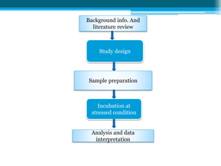 Background info. And 
literature review 
Study design 
Sample preparation 
Incubation at 
stressed condition 
Analysis and data 
interpretation 
 