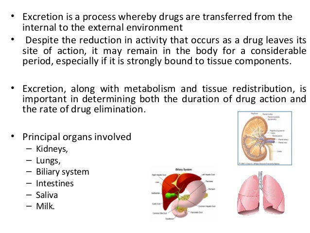 Drug excretion