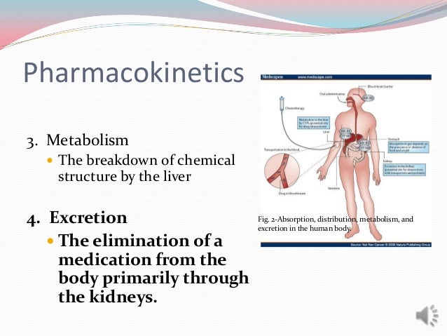 Drug excretion