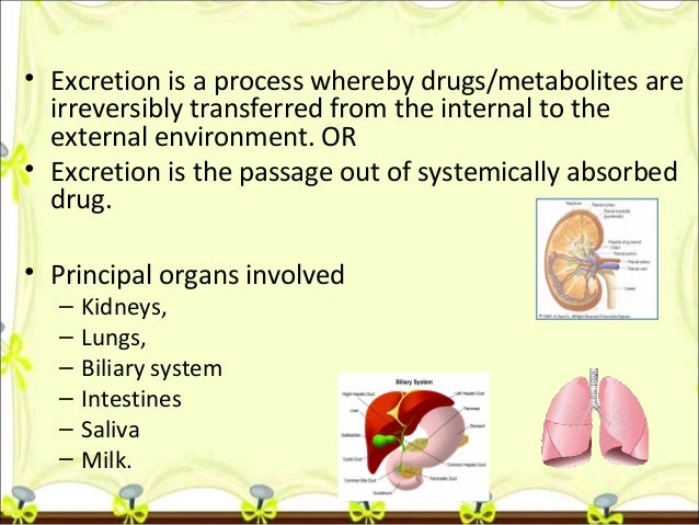 Drug excretion