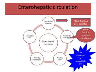 Enterohepatic circulation
Enterohepatic
circulation
Drug enters
intestine
Absorbed in
portal blood
Reaches
liver
Taken by
hepatocytes
Excreted in
bile
Major fraction
gets excreted
Minor
fraction
reenters
circulation
So
increase
in
bioavailab
ility
 