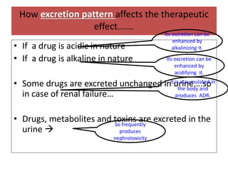 • If a drug is acidic in nature
• If a drug is alkaline in nature
• Some drugs are excreted unchanged in urine….so
in case of renal failure…
• Drugs, metabolites and toxins are excreted in the
urine →
How excretion pattern affects the therapeutic
effect…….
Its excretion can be
enhanced by
alkalinizing it.
Its excretion can be
enhanced by
acidifying it.
It is accumulated in
the body and
produces ADR.
So frequently
produces
nephrotoxicity
 
