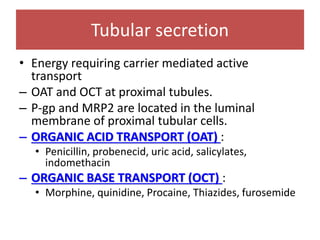 Tubular secretion
• Energy requiring carrier mediated active
transport
– OAT and OCT at proximal tubules.
– P-gp and MRP2 are located in the luminal
membrane of proximal tubular cells.
– ORGANIC ACID TRANSPORT (OAT) :
• Penicillin, probenecid, uric acid, salicylates,
indomethacin
– ORGANIC BASE TRANSPORT (OCT) :
• Morphine, quinidine, Procaine, Thiazides, furosemide
 