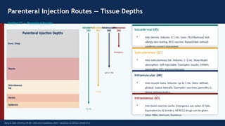 Comprehensive Overview of Drug Formulations and Routes of ...