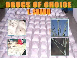 DRUGS OF CHOICE 1. SHABU 