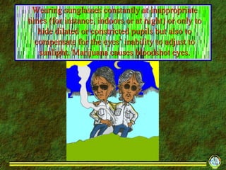 Wearing sunglasses constantly at inappropriate times (for instance, indoors or at night) or only to hide dilated or constricted pupils but also to compensate for the eyes’ inability to adjust to sunlight. Marijuana causes bloodshot eyes. 