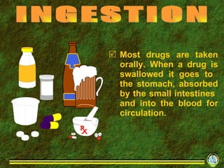 Most drugs are taken orally. When a drug is swallowed it goes to  the stomach, absorbed by the small intestines  and into the blood for circulation. INGESTION 