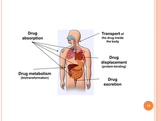 Drug
absorption
Drug
excretion
Drug metabolism
(biotransformation)
Drug
displacement
(protein-binding)
Transport of
the drug inside
the body
16
 