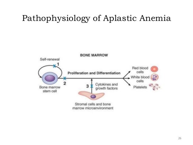 Drug induced hematological disorder