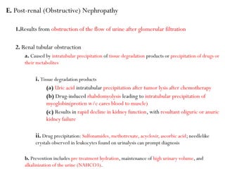 drug induced kidney disease medical presentation (1).pptx