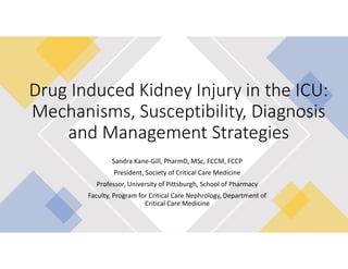 Drug Induced Kidney Injury in the ICU.pdf