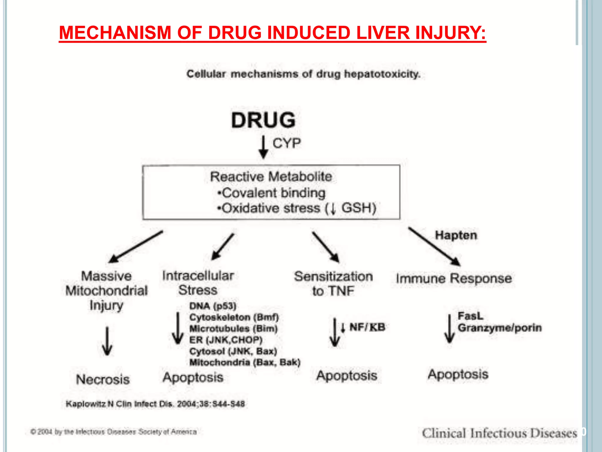 Drug induced liver injury (DILI) and Hepatotoxicity | PPTX