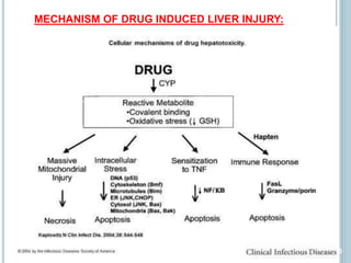 Drug induced liver injury (DILI) and Hepatotoxicity | PPTX