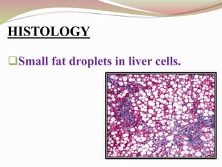 HISTOLOGY
Small fat droplets in liver cells.
 