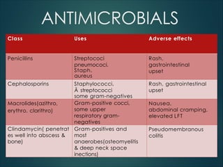 Comprehensive Overview of Drugs Used in ENT Practice: Antibiotics ...