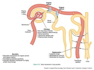 53
Chapter 4. Applied Pharmacology. Stan K Berdal, Jason E. Waechter, Douglas S. Martin
 