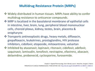 62
PRINCIPLES OF CLINICAL PHARMACOLOGY, THIRD EDITION DOI: http://dx.doi.org/10.1016/B978-0-12-385471-1.00015-5
Chapter 4. Applied Pharmacology. Stan K Berdal, Jason E. Waechter, Douglas S. Martin
Multidrug Resistance Protein (MRPs)
 Widely distributed in human tissues. MRPs have ability to confer
multidrug resistance to anticancer compounds.
 MRP is localized in the basolateral membrane of epithelial cells
in intestine, liver, brain, lung, peripheral blood mononuclear
cells, choroid plexus, kidney, testes, brain, placenta &
oropharynx
 Transports antineoplastic drugs, heavy metals, difloxacin,
grepafloxacin, leukotrines, prostaglandins, HIV protease
inhibitors, cidofovir, etoposide, mitoxantrone, valsartan
 Inhibited by atazanavir, lopinavir, ritonavir, cidofovir, adefovir,
saquinavir, lamivudin, tenofovir, nevirapine, efavirenz, abacavir,
delavirdine, probenecid, cyclosporine, furosemide.
 