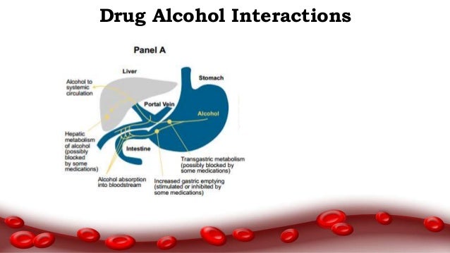 Probenecid And Penicillin Drug Interaction