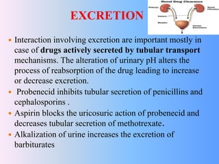 EXCRETION
 Interaction involving excretion are important mostly in
case of drugs actively secreted by tubular transport
mechanisms. The alteration of urinary pH alters the
process of reabsorption of the drug leading to increase
or decrease excretion.
 Probenecid inhibits tubular secretion of penicillins and
cephalosporins .
 Aspirin blocks the uricosuric action of probenecid and
decreases tubular secretion of methotrexate.
 Alkalization of urine increases the excretion of
barbiturates
 